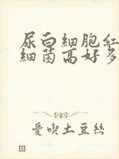 尿白细胞红细胞细菌高好多怎么回事