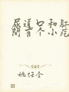 尿道口和肛门之间有个小疙瘩是怎么回事