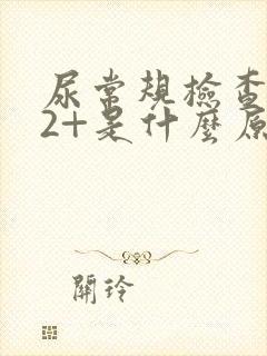 尿常规检查潜血2+是什么原因