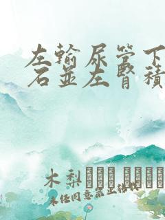 左输尿管下段结石并左肾积液