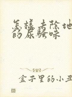 怎样去除地毯上的尿骚味