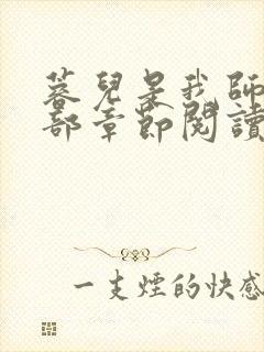 蓉儿是我师娘全部章节阅读