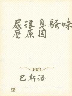 尿很臭骚味是什么原因