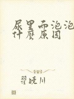 尿里面泡泡多是什么原因