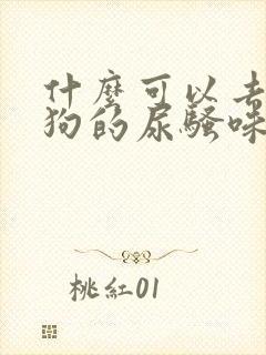 什么可以去除狗狗的尿骚味