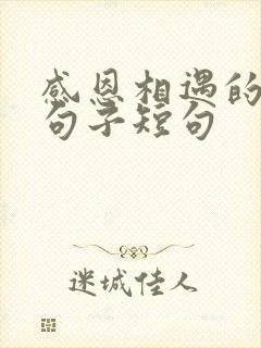 感恩相遇的唯美句子短句