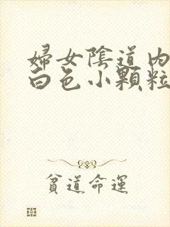 妇女阴道内出现白色小颗粒状的物体是什么