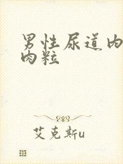 男性尿道内有小肉粒