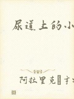 尿道上的小肉粒