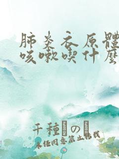 肺炎衣原体感染咳嗽吃什么药