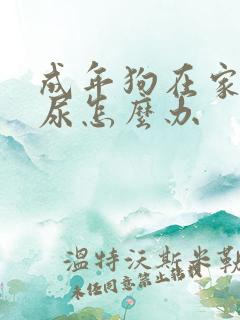 成年狗在家里乱尿怎么办