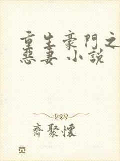 重生豪门之独宠恶妻 小说