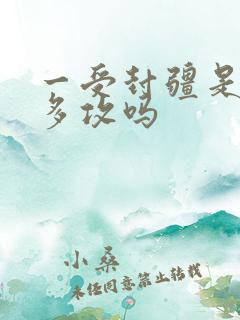 一受封疆是一受多攻吗