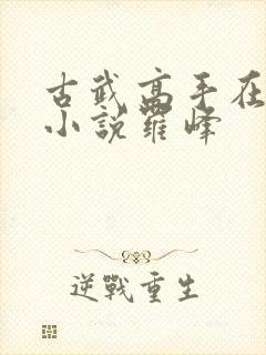 古武高手在都市小说罗峰