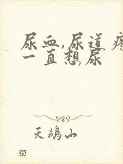 尿血,尿道疼,一直想尿