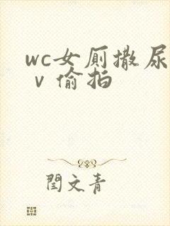 wc女厕撒尿七ⅴ偷拍