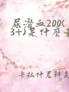 尿潜血200(3+)是什么意思