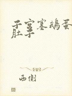 子宫塞鹅蛋撑大肚子