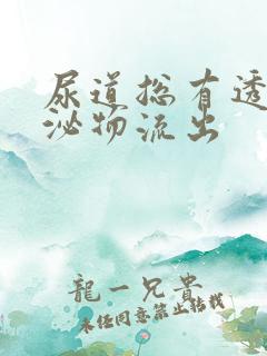 尿道总有透明分泌物流出