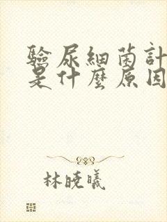 验尿细菌计数高是什么原因