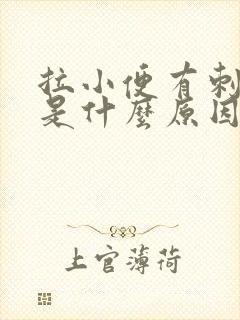 拉小便有刺痛感是什么原因女