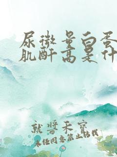 尿微量白蛋白比肌酐高是什么原因