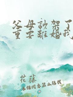 父母吵架了很严重要离婚我该怎么办