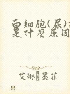 白细胞(尿)高是什么原因