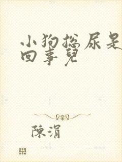 小狗总尿是怎么回事儿