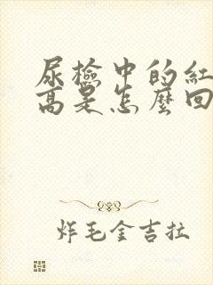 尿检中的红细胞高是怎么回事