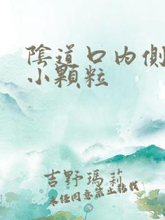 阴道口内侧白色小颗粒