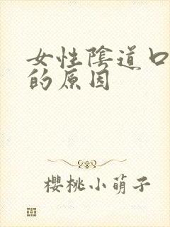 女性阴道口瘙痒的原因