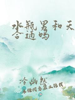 水瓶男和天秤女合适吗