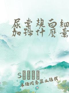 尿常规白细胞1加号什么意思