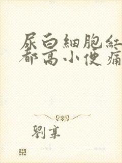 尿白细胞红细胞都高小便痛