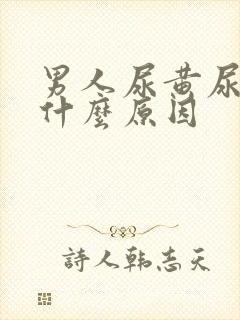 男人尿黄尿臭是什么原因