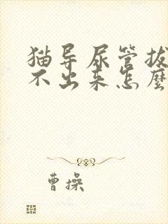 猫导尿管拔了尿不出来怎么办