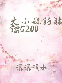 大小姐的贴身保镖5200