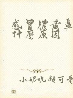 感冒脓黄鼻涕是什么原因