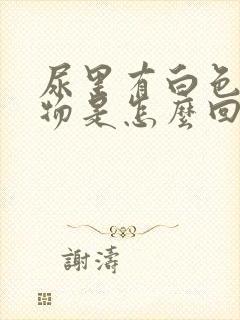 尿里有白色沉淀物是怎么回事女性