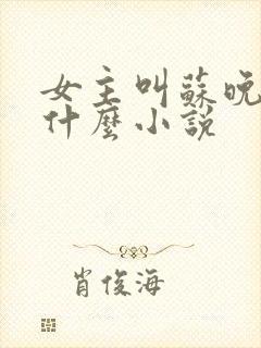 女主叫苏晚夏是什么小说