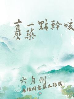 有一点干咳吃什么药