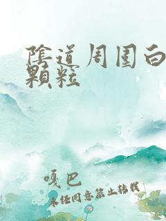 阴道周围白色小颗粒