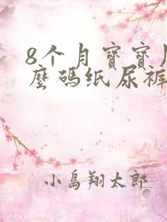 8个月宝宝用什么码纸尿裤