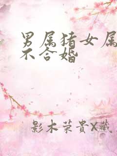 男属猪女属蛇合不合婚