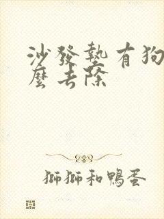 沙发垫有狗尿怎么去除