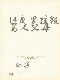 14岁男孩叛逆骂人父母