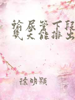 输尿管下段结石几天能排出