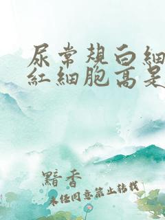 尿常规白细胞和红细胞高是怎么回事