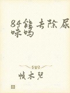 84能去除尿骚味吗